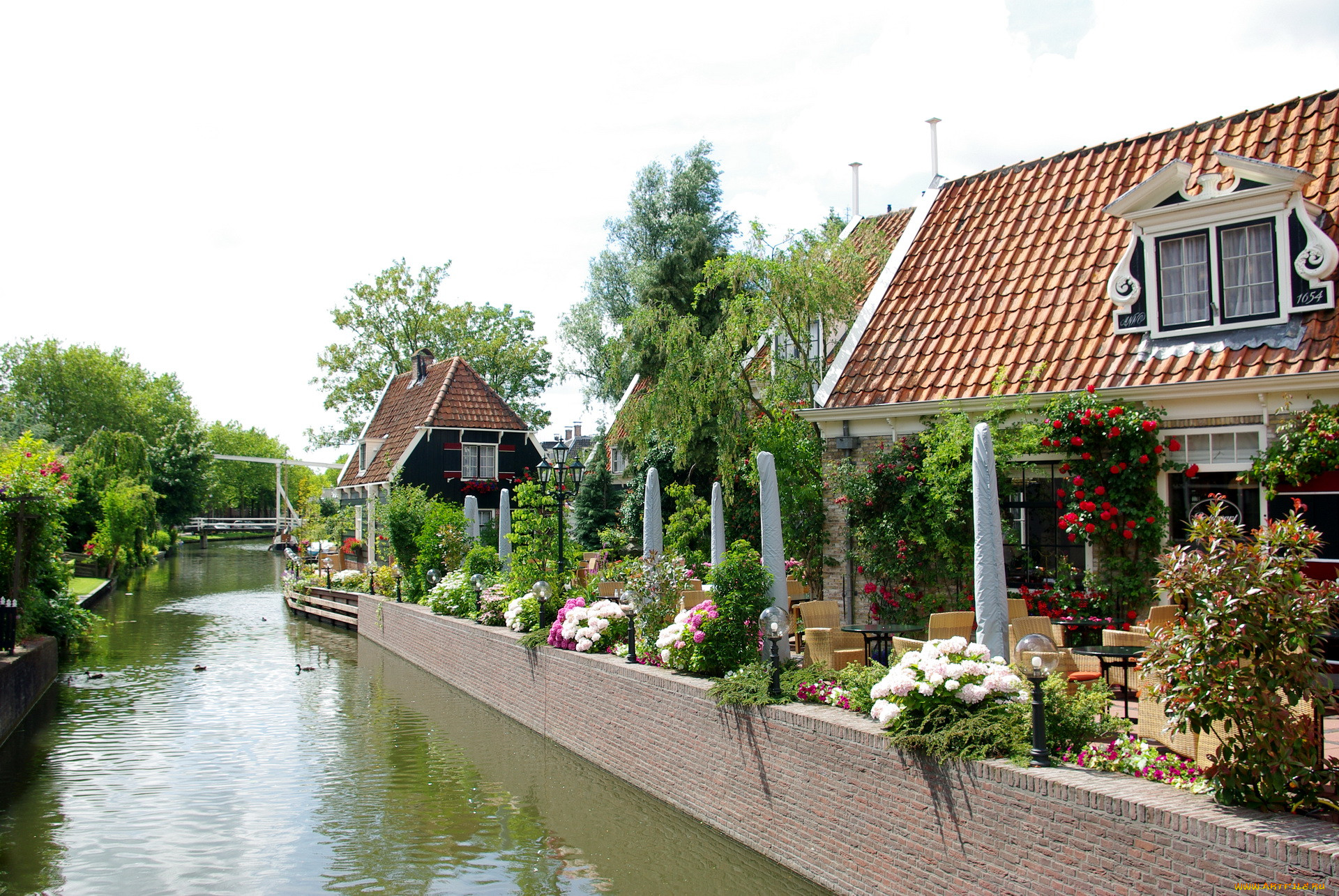, abbekerk, , , , , , 